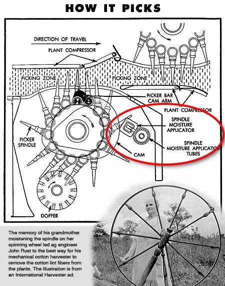 Cotton Harvesting: The Process & Equipment